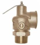 Pop-Safety and Relief Valves